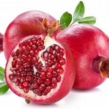 Taber 4 Yaş Aşılı Hicaz Nar Fidanı, Torbada