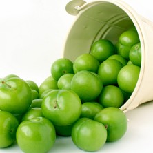 Taber 4 Yaş Aşılı Papaz Eriği Fidanı, Saksıda