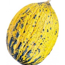 Taber Doğal Kırkağaç Kavun Tohumu (20 Adet)