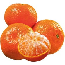 Taber 3 Yaş Aşılı Kokulu King Mandalina Fidanı, Torbada