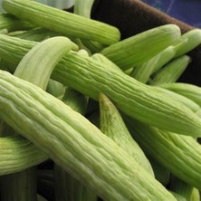 Taber Acur Tohumu 10 gr Paket