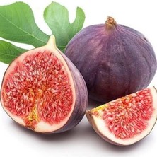 Taber Incir Fidanı Dürdane Siyah Bursa Yediveren Inciri Fidanı, Torbada