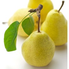 Taber 3 Yaş Aşılı Williams Armut Fidanı, Torbada