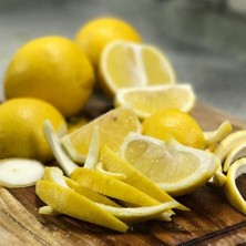 Taber 6 Yaş Aşılı Bergamot Fidanı, Saksıda