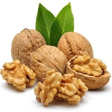 Taber 3 Yaş Aşılı Salkım Ceviz Fidanı, Torbada