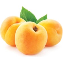 Taber Tüplü, Aşılı Şekerpare Kayısı Fidanı