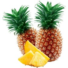Taber Saksıda Ananas Meyvesi Fidanı (Smooth Cayenne Cinsi)