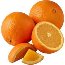 Taber Tüplü Yarı Bodur Tipte Washıngton Portakal Fidanı (Meyve Verir Durumda)