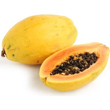 Taber Nadir Tür Bodur Golden Papaya Fidanı ,torbada