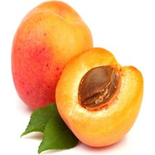 Taber 4 Çeşit Kayısı Fidanı Paketi