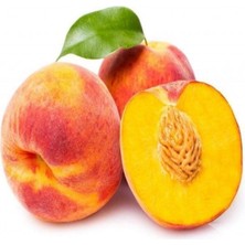 Taber Ilıman Iklime Uygun Sahil Bölgeler İçin Şeftali-Nektarin Fidanı Paketi