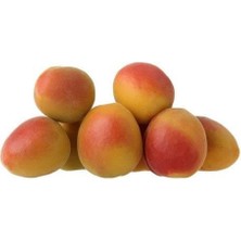 Taber Tüplü, Aşılı Alyanak Kayısı Fidanı