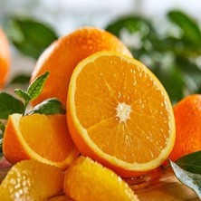 Taber 3 Yaş Soğuğa Dayanıklı Fukumoto Portakal Fidanı, Tüplü