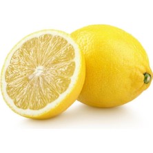 Taber Tüplü Tatlı Limon/şeker Limon Fidanı