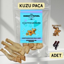 Bambam Natural Kuzu Paça - 4 Adet - %100 Doğal Kurutulmuş Köpek Çiğneme Ödül Maması