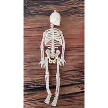  concept fosforlu ıskelet modeli krem & anahtarlık takılabilir