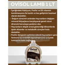Royal İlaç Ovisol Lamb 1 Lt