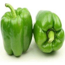 Taber Acı Antep Dolmalık Biberi Tohumu (5 Gram)