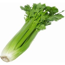 Taber Çanakkale Kereviz Tohumu (10 Gram)