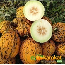 Taber Kırkağaç Kavunu Tohumu 25 gr Paket