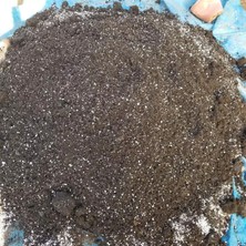 Taber Tanemix Gübre Katkılı Yüksek Kalite Kaktüs ve Sukulent Toprak Karışımı 10 Lt