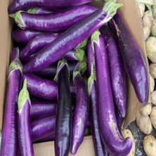 Taber Thin Long Patlıcan Tohumu (15 Tohum)