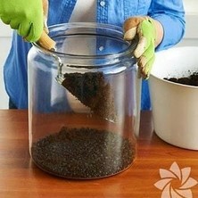 Taber 1 kg Terrarıum Toprağı, Sukulent, Kaktüs Toprağı Organik, Kokusuz