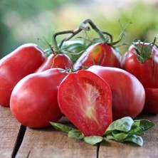 Taber İtalian Red Pear Domates Tohumu(15 tohum)