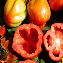 Taber Yüksek Aromalı Striped Cavern Çizgili Domates Tohumu (15 Tohum)