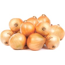 Taber Doğal Walla Walla Soğan Tohumu (50 Tohum)