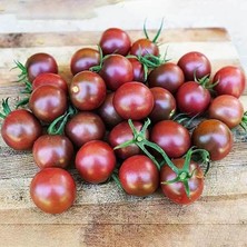 Taber 5 Adet Kokteyl Sırık Mirra F1 Siyah Domates Fidesi