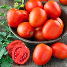 Taber 5 Adet Sonya F1 Salçalık Domates Fidesi