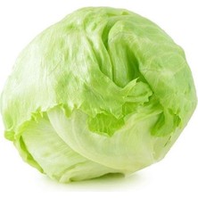 Taber Iceberg Marul Tohumu 5 gr Paket