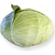 Taber Beyaz (Yalova) Lahana Tohumu 10 gr Paket