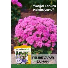 Patika Botanik 100 Adet Pembe Vapur Dumanı Çiçek Tohumu (Ageratum Mexicanum Dwarf Ball)