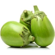 Taber Apple Green Patlıcan Tohumu (15 Tohum)