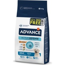 Advance Maxi Adult Büyük Irk Yetişkin Köpek Maması 12 kg + 2 kg Hediyeli