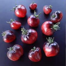 Taber Sgt Peppers Domates Tohumu (15 Tohum)