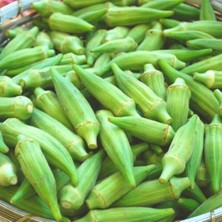 Taber Geleneksel Bamya Tohumu