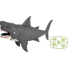 Butik Bfs  Wild Quest Büyük Köpekbalığı