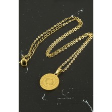 Gümüş Takıcım Balık Burcu Çelik Kolye