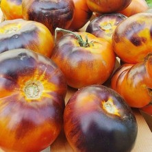 Taber Lucid Gem Domates Tohumu(15 tohum)