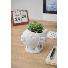 Hanart Balık Şeklinde Sukulent Saksısı
