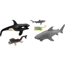 Brf Bfs Wild Quest Okyanus Hayvanları Oyun Seti 5 Parça