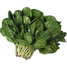 Taber Yerli Ispanak Tohumu 10 gr Paket