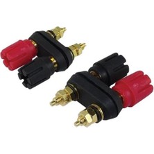 Olinea Born Klemens Ikili Gold