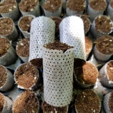 Taber Hızlı Çimlenme Sağlayan Tohum ve Çelik Köklendirme Paper POT(104 Adet Viyol Içinde)