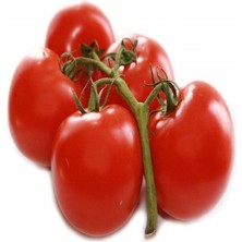 Taber Invuctus Domates Tohumu (20 Tohum)