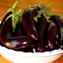 Taber Halep Karası Patlıcan Tohumu (2 Gram)