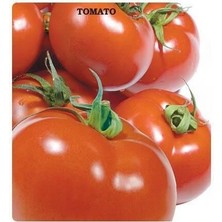 Taber SC-2121 Domates Tohumu (2gram)